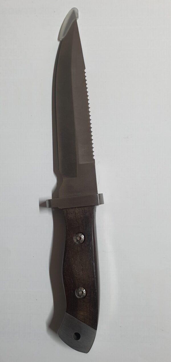 20240904_172048-1-scaled-1.jpg Buck Dagger