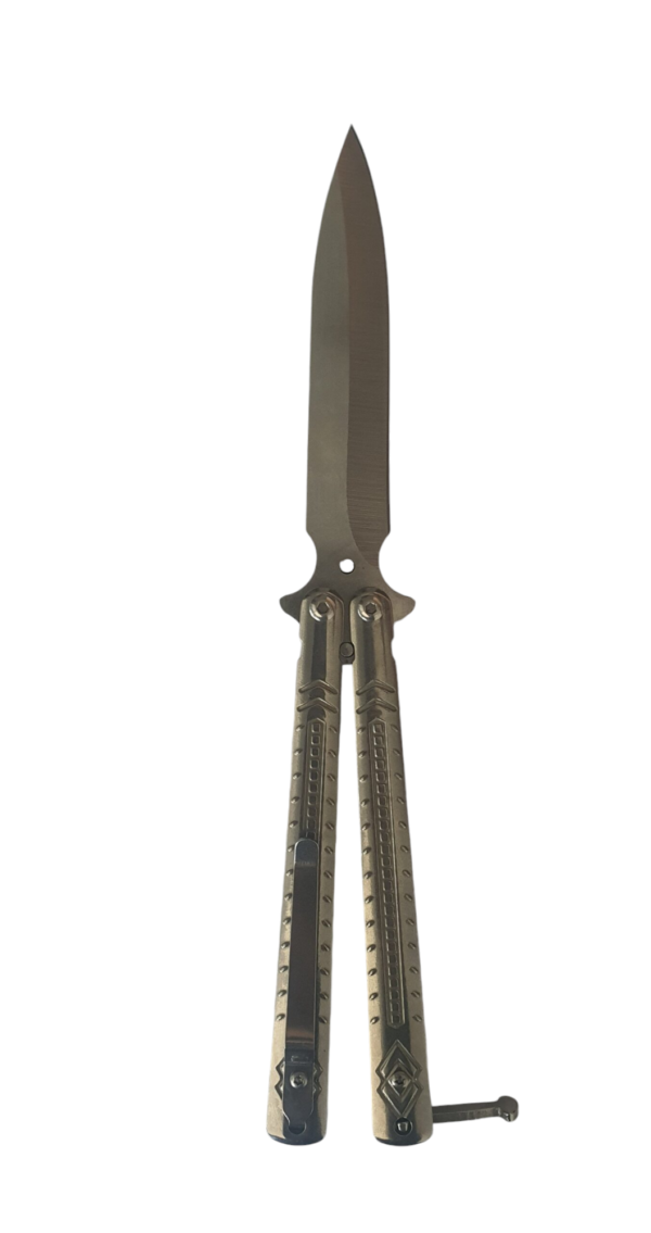 Photoroom-20240911_223653.png Silver Roncher