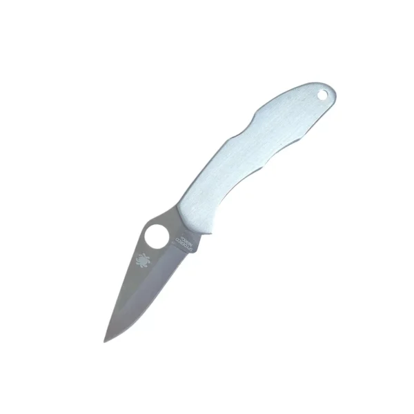 SA Provincial Service Products-Photoroom (1) Spyderco Rookie Pocket Knife Silver
