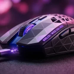 Mouse